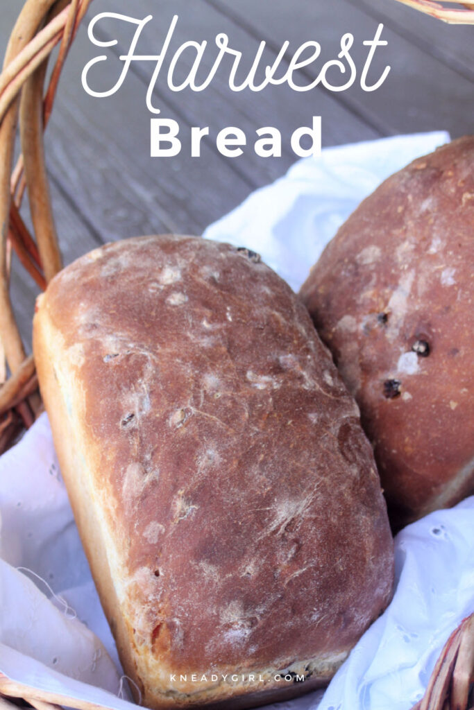 2 loaves of harvest bread in a white linen lined basket with text overlay.