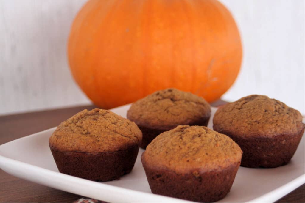 Pumpkin gingerbread muffins on a white plate with a pumpkin in the background 