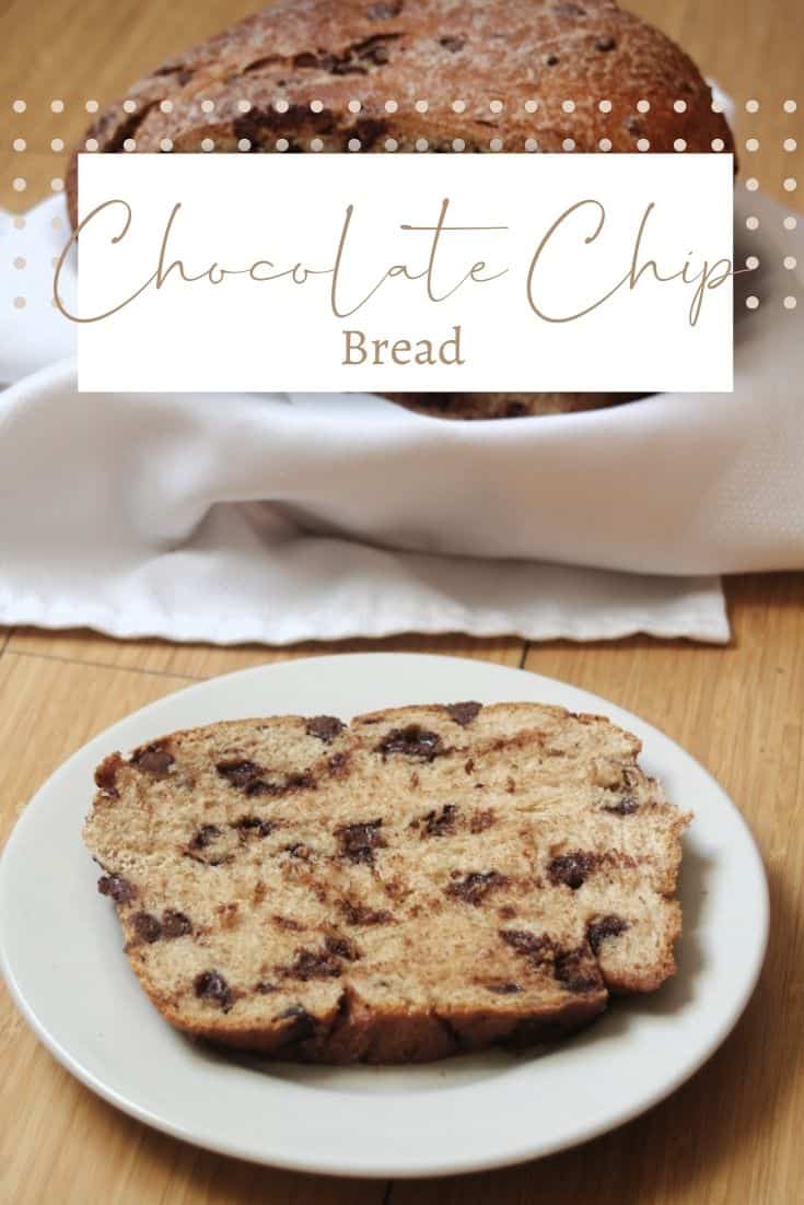 Chocolate Chip Yeast Bread Kneady Girl