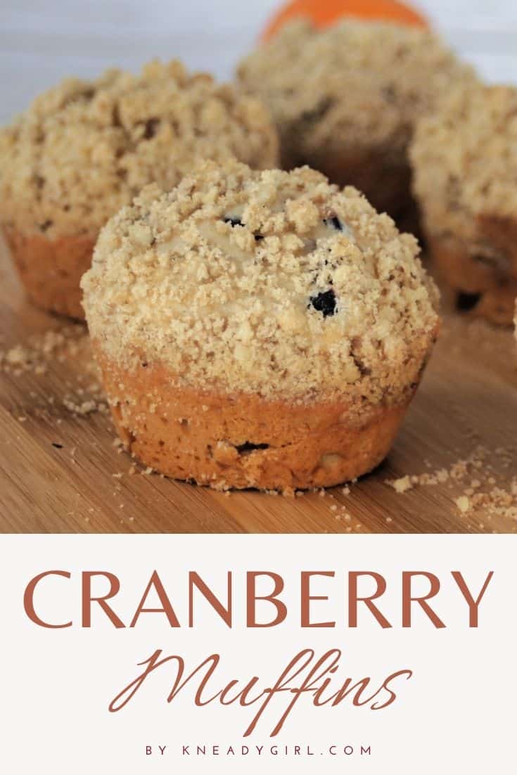 Homemade Dried Cranberry and Walnut Muffins - Kneady Girl
