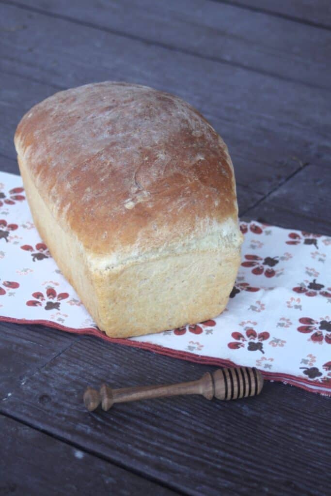A loaf of honey oat bread on a brown and white napkin with a wooden honey dipper sitting in front of them.