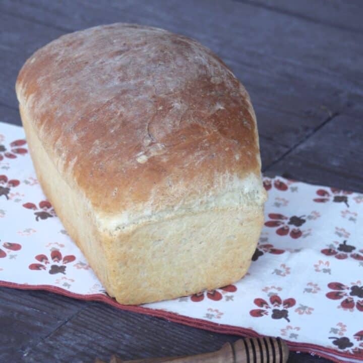 A loaf of honey oat bread on a brown and white napkin with a wooden honey dipper sitting in front of them.