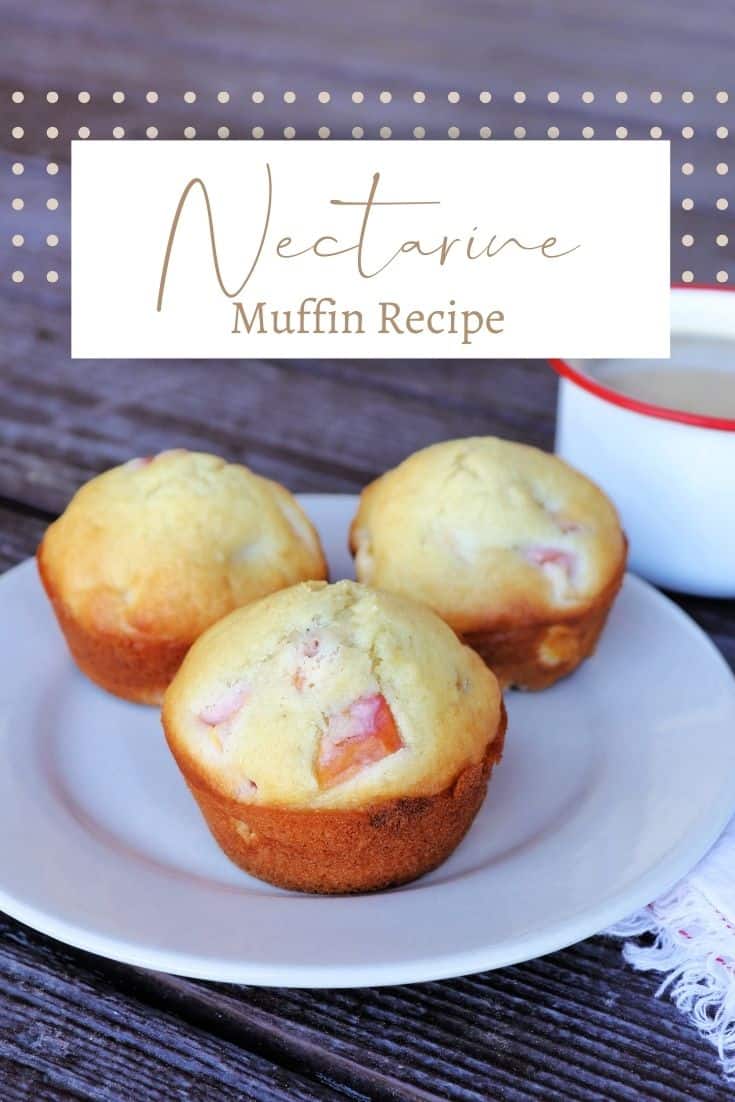Nectarine Muffins Kneady Girl
