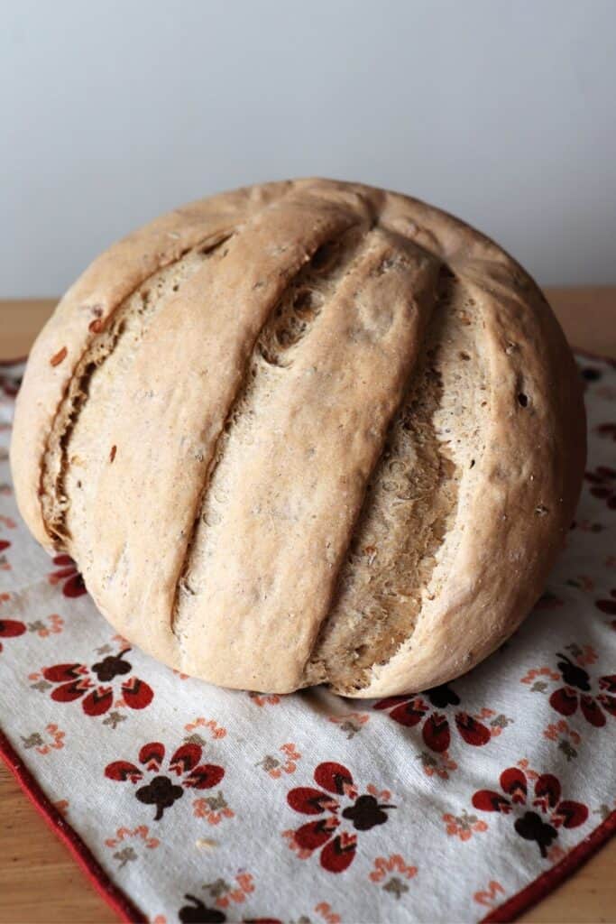 A round loaf of sauerkraut bread sitting on its side with slashes on top.