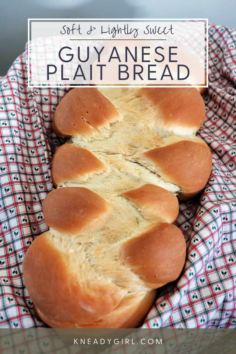 Guyanese Bread Recipe Kneady Girl