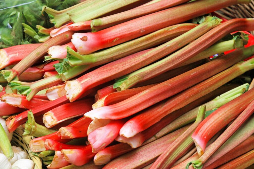 Stalks of rhubarb in green and red hues stacked together.