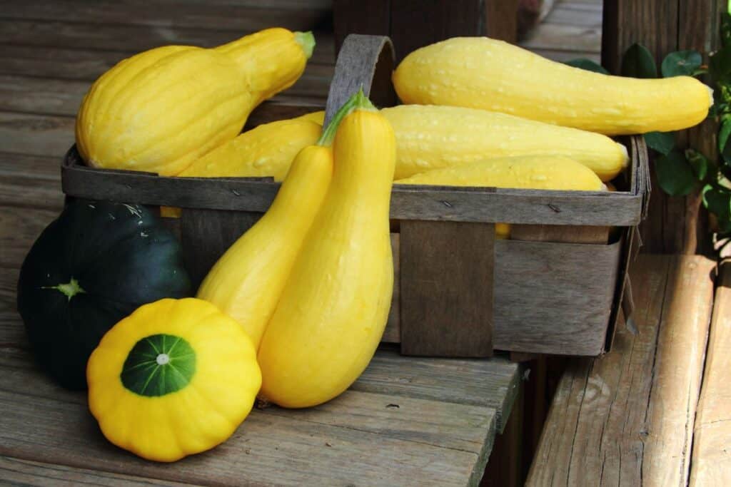 A basket of yellow squash sitting on a porch.