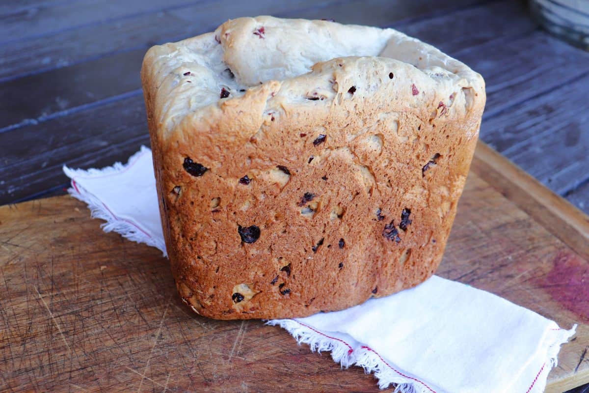 Bread Machine Classic Cranberry Walnut Bread Kneady Girl