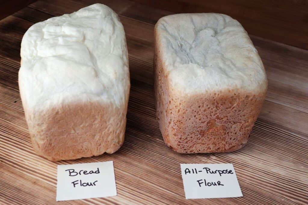 2 loaves of white bread sit on a board. In front of each is a label - bread flour and all-purpose flour. 