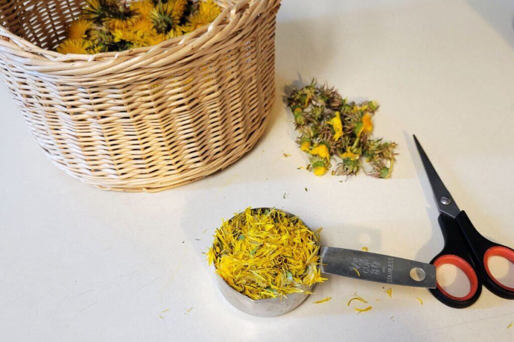 A metal measuring cup sits on the counter full of snipped dandelion petals. Next to the cup is a small pair of scissors. In the backroung is a basket full of more dandelion flowers and a small pile of flower bits that have had their petals removed.