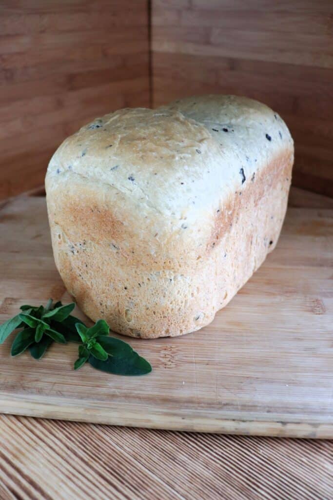 A loaf of bread studded with bits of black olives sits on a cutting board. A stem of fresh oregano sits next to it.